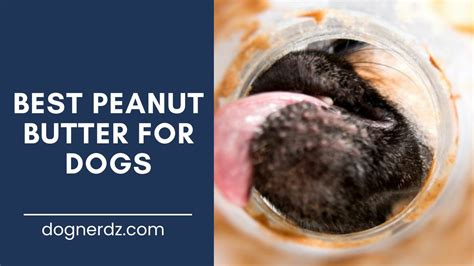 Best Peanut Butter For Dogs 2023 Review Dog Nerdz