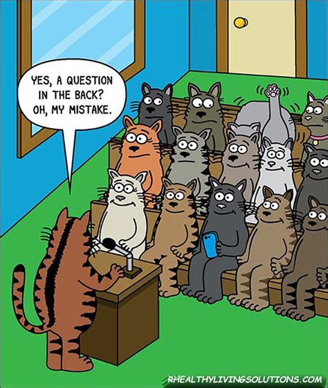 Pin By Denette King On Cats Are Great Cartoons And Memes Cat Jokes