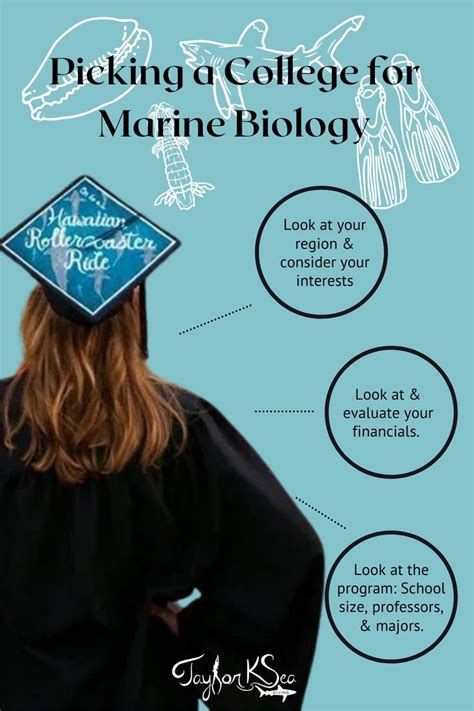 A Guide To Picking A College The Marine Sciences Marine Marine