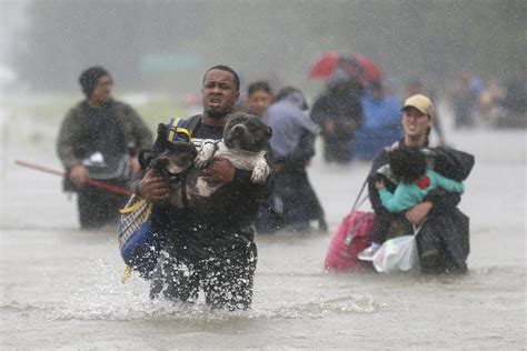 How To Donate To Hurricane Harvey Victims Fox News