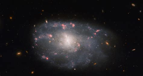 Hubble Takes A Spectacular Photo Of An Irregular Spiral Galaxy In The