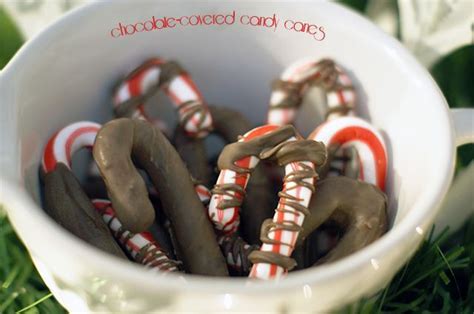 Chocolate Covered Mini Candy Canes 101 Days Of Christmas Life Your Way Mini Candy Canes