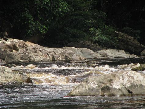 We did not find results for: Taman Negara | Lata Berkoh (Berkoh Waterfalls) - River ...