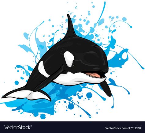 Killer Whale Jumping Drawing