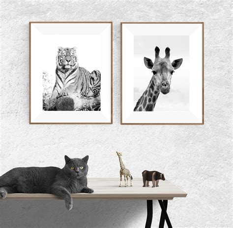 Zoo Animal art prints Set of two Animal photos Nursery | Etsy in 2020 | Zoo animal art, Animal ...