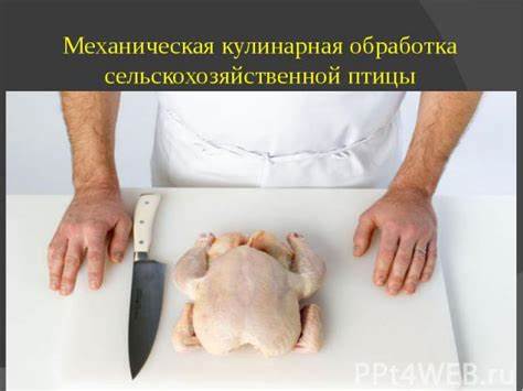 Кулинарная обработка диеты 10 Механическая кулинарная обработка птицы - презентация к уроку Технологии Механическая кулинарная обработка птицы - презентация к уроку Технологии Кулинарная обработка диеты 10