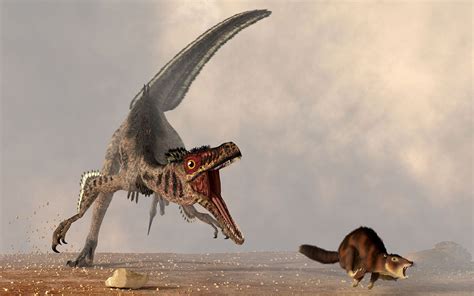 Raptors The Bird Like Dinosaurs Of The Mesozoic Era