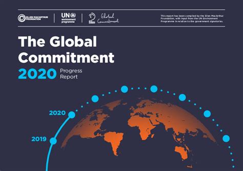 The Global Commitment 2020 Progress Report