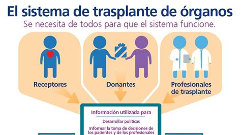 Transplantation System Infographic