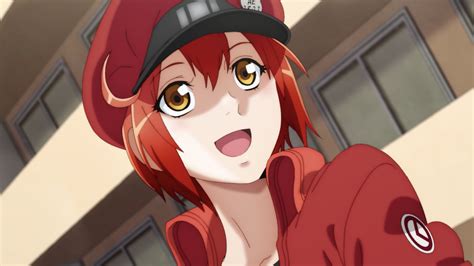 Cells At Work Season 2 Tv Anime To Premiere On January 9 Reveals Op