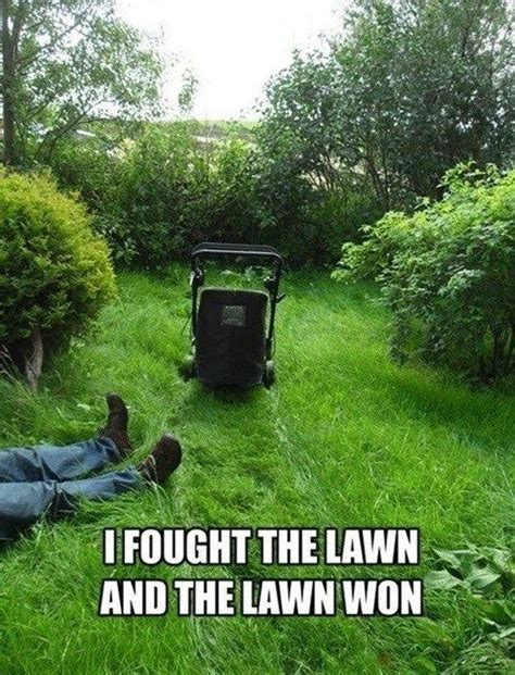 The Grass Is Always Nicer On The Other Lawn Gardening Memes Lawn