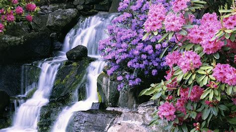 Most Beautiful Waterfalls With Flowers Download