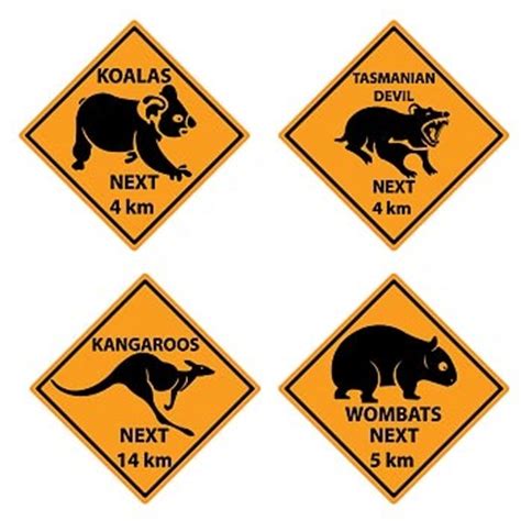 The official home of the animal crossing series. 35 best X-ing Signs images on Pinterest | Animal crossing, Bing images and Hilarious