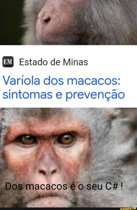 Estado De Minas Ola Dos Macacos Sintomas Preven O Dos Macacos O Seu