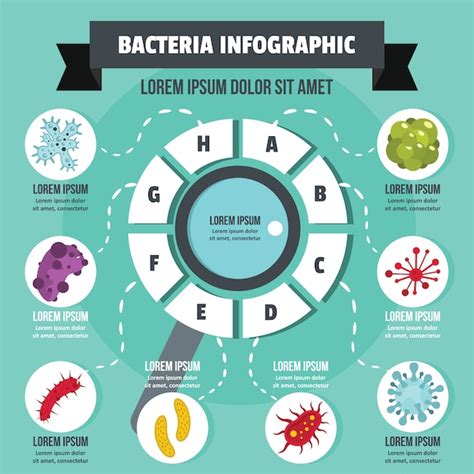 Concepto Infograf A De Bacterias Estilo Plano Vector Premium