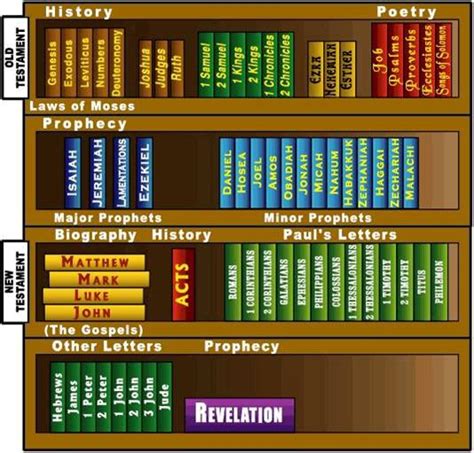 Bible Bookcase New Testament Christianscom