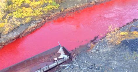 River In Russia Turns Blood Red Sparking Fears Of An Industrial Accident