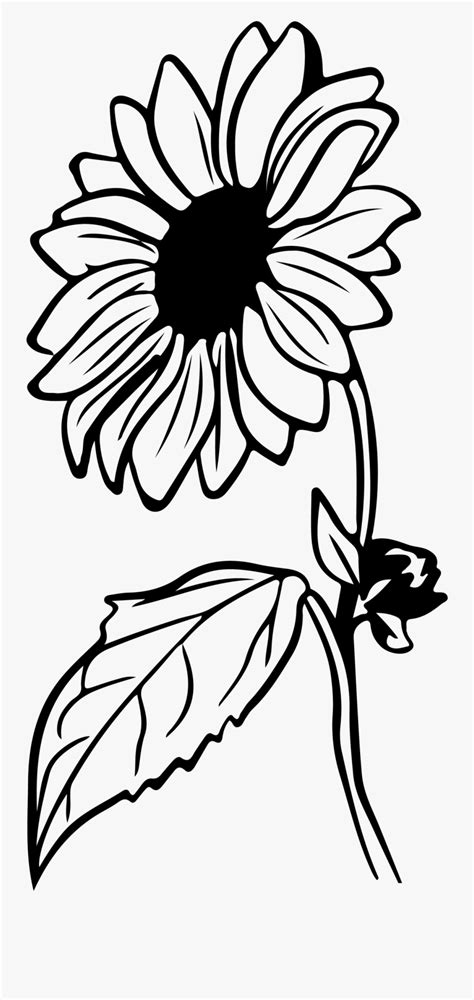 Sunflower Clip Art Black And White Free Transparent Clipart Clipartkey