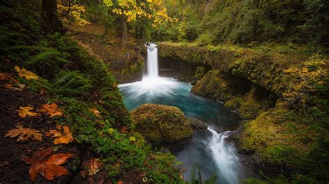 Waterfalls And Stream In Forest Hd Nature Wallpapers Hd Wallpapers