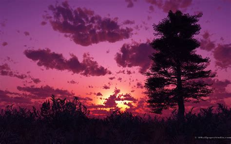 36 Purple Sunset Desktop Wallpaper On Wallpapersafari