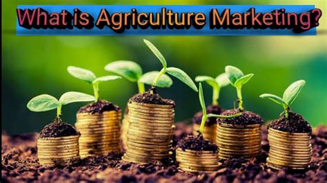 What Is Agriculture Marketing Its Objective And Importance Youtube