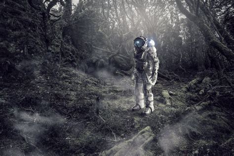 Astronaut In Forest Stock Photo Image Of Flight Natural 91595506