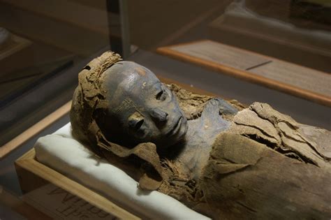 Child Mummy From Ancient Egypt On Display At The Saint Louis Science