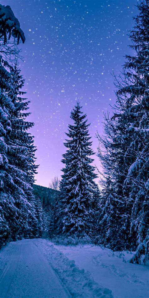 1080x2160 Trees Covered With Snow Freezing Forest Winter 5k One Plus 5t