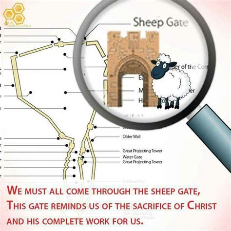 Todays Honey🍯 June 19 2017 The Sheep Gate The Ten Gates 1 When