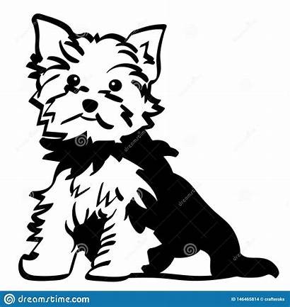 Terrier Silhouette Yorkshire Vector Dreamstime Icon Clipart