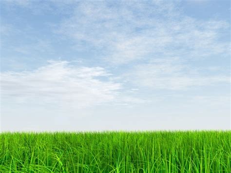 Hd Picture Fresh Blue Sky And Grass Photos In  Format Free And Easy