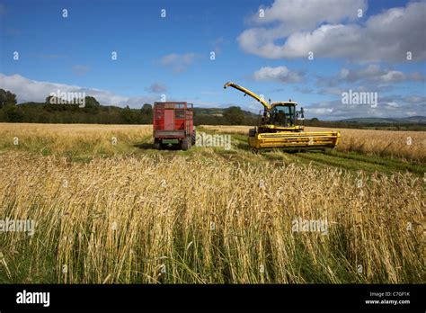 Combine Tractor In Barley Field Stock Photos & Combine Tractor In Barley Field Stock Images - Alamy