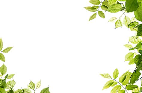 Leaf Clip Art Green Leaves Frame Png Png Download 35002300 Free