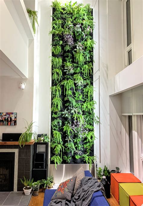 Interior Plant Design Style By Living Walls Edmonton Plants On Walls