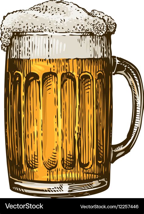 Beer In Glass Mug With Foam Hand Drawn Royalty Free Vector