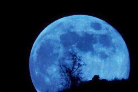 Luna Azul Y Lluvia De Estrellas Los Eventos Astronómicos De Agosto 2023