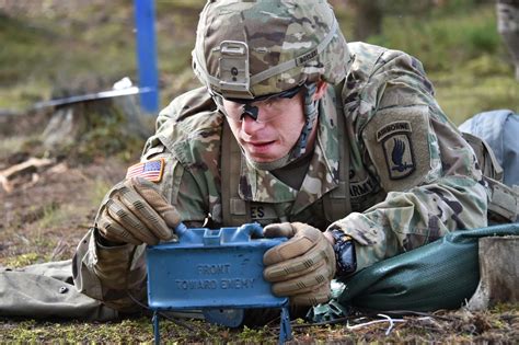 131 Multinational Soldiers Earn Coveted Expert Infantry Badge Article