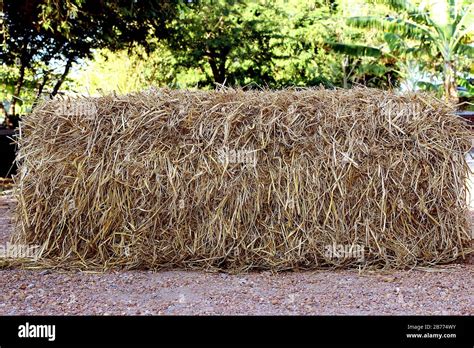 Straw Cubic A Pile Of Straw Dry Hay Straw Block Cube Background