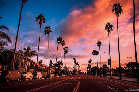 Palm Trees And Cotton Candy Sky For Daze Credit Konenphotography
