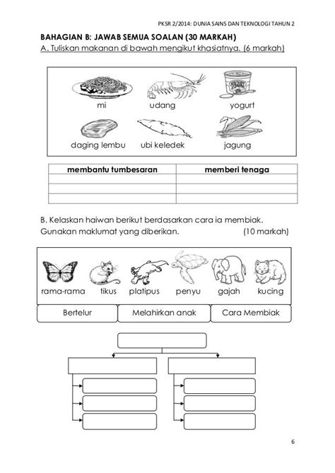modul latihan sains tahun 2  Stephen Wright