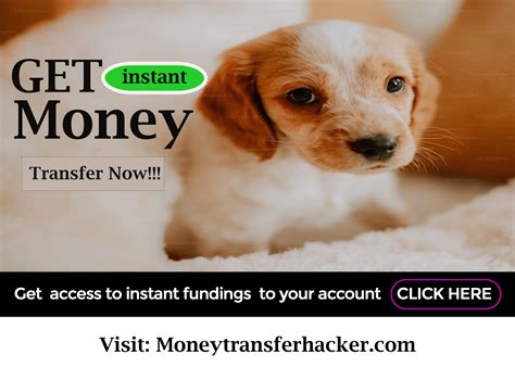 Can Dogs Eat Cucumber? Unveiling the Truth | by Maddison Ogletree | Apr