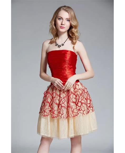 Stylish A Line Embroided Tulle Short Party Dress Dk312 901
