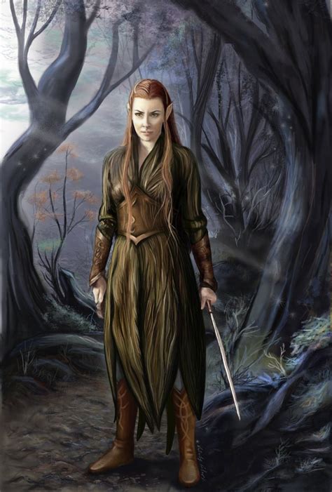 Female Elven Warrior Ranger Mittelerde Elfen Zeichnungen