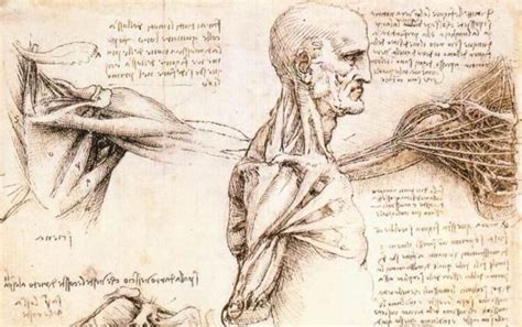 Os Estudos Científicos De Leonardo Da Vinci 500 Anos Depois