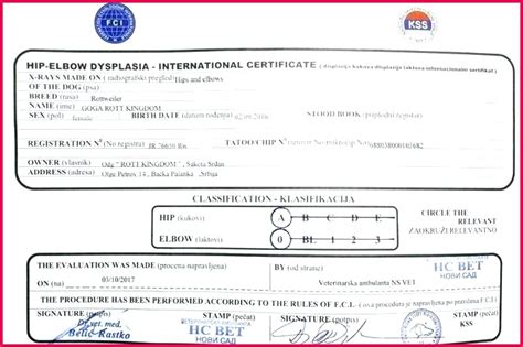Birth certificate maker sample template philippines online printable. Fake Birth Certificate Maker Free - Pin on Certificate ...