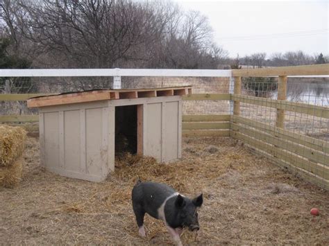 Image Result For Pig Pens And Shelters Pig House Pot Belly Pigs Pig
