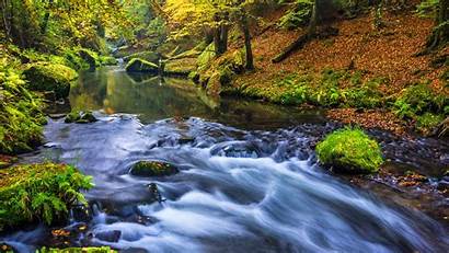 Nature Forest River Definition Wallpapers Wallpapers13 1920