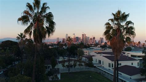 Aerial Los Angeles Palm Trees Flythrough City America Cali