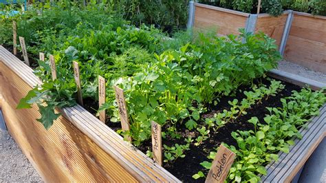 Egal ob sie das beet mit blumen, kräutern oder gemüse bepflanzen, es ist in jedem fall eine bereicherung für ihren garten. Kräuterbeet anlegen auf dem Hochbeet » So wird's gemacht