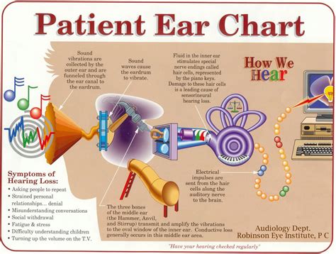 Robinson Eye Institute Pc Patient Ear Chart Speech And Hearing